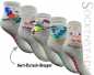Preview: Kinder ABS-Socken Preview: Kinder ABS-Socken